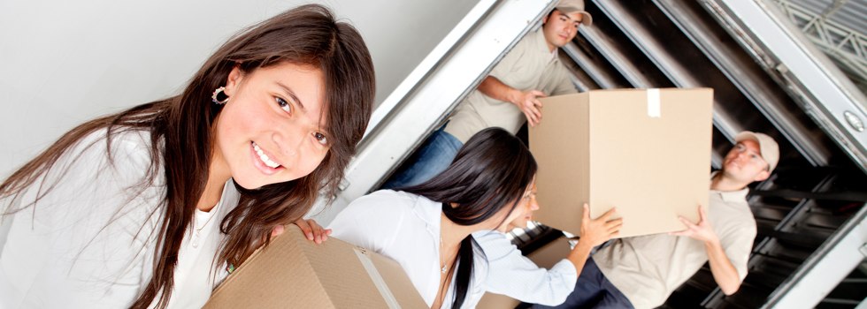Professional Removalists Cluan